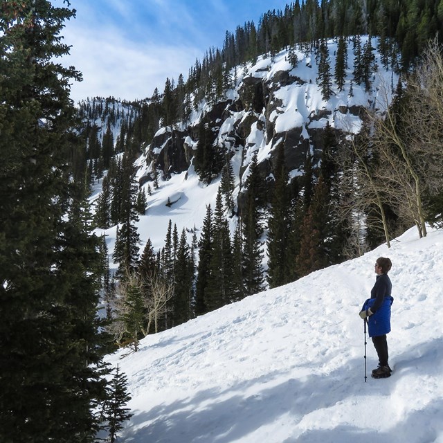 A person is on a hiking trail, wearing winter clothing and traction devices