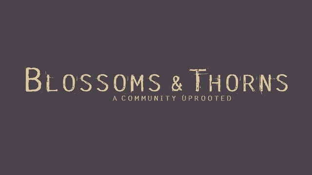 Blossoms and Thorns documentary