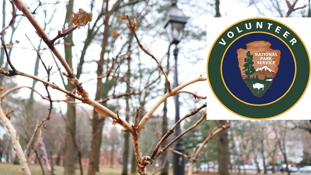 Image of Roger Williams welcome sign and volunteer logo. 