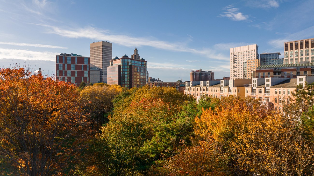 Fall colors of the National Memorial's tree canopy