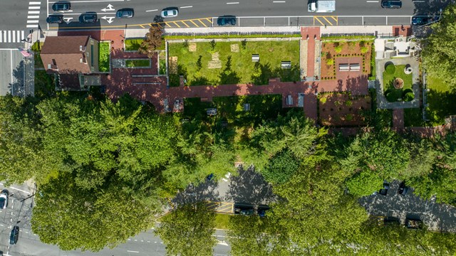 A tree-lined walkway