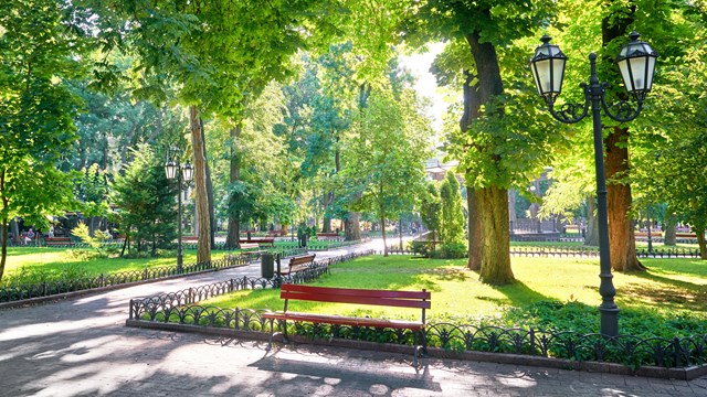 Park bench and dual lamp post under trees on a bright sunny day.