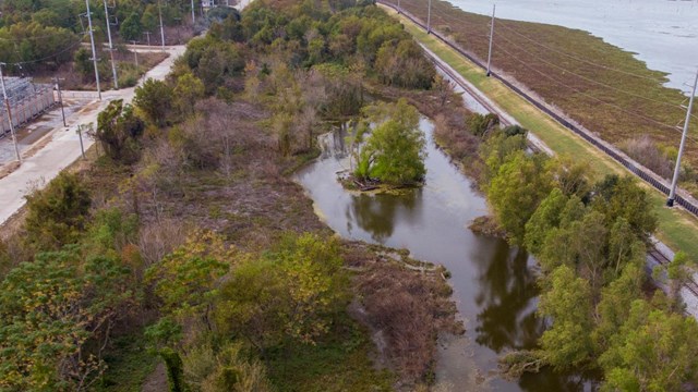 The site of Sankofa Wetland Park shows trees with large ponds of water and roads in the distance. 