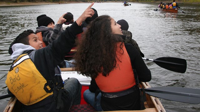 Students and staff in a Voyageur Canoe spot a bald eagle on a trip down the Mississippi River.