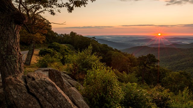 A sunset over a forest mountain scene