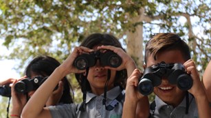 Students use their binoculars to explore a forest