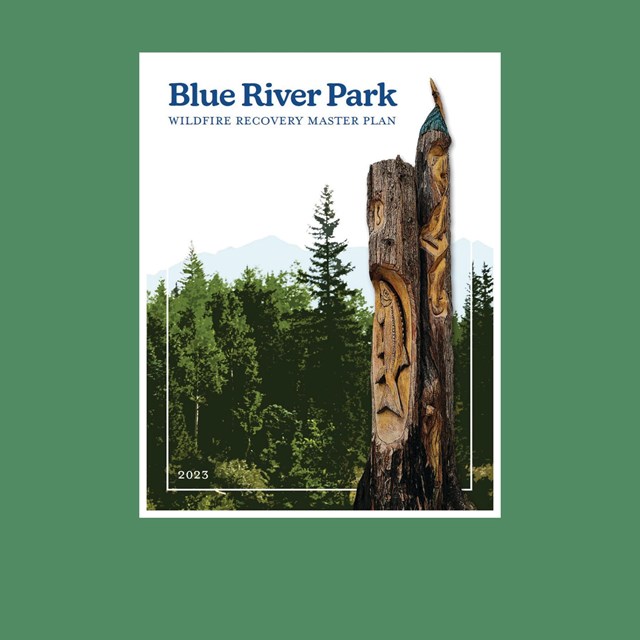 Blue River Park: Wildfire Recovery Plan