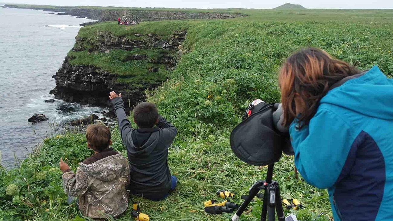 Seabird camp kinds observe seabirds along the rocky coast