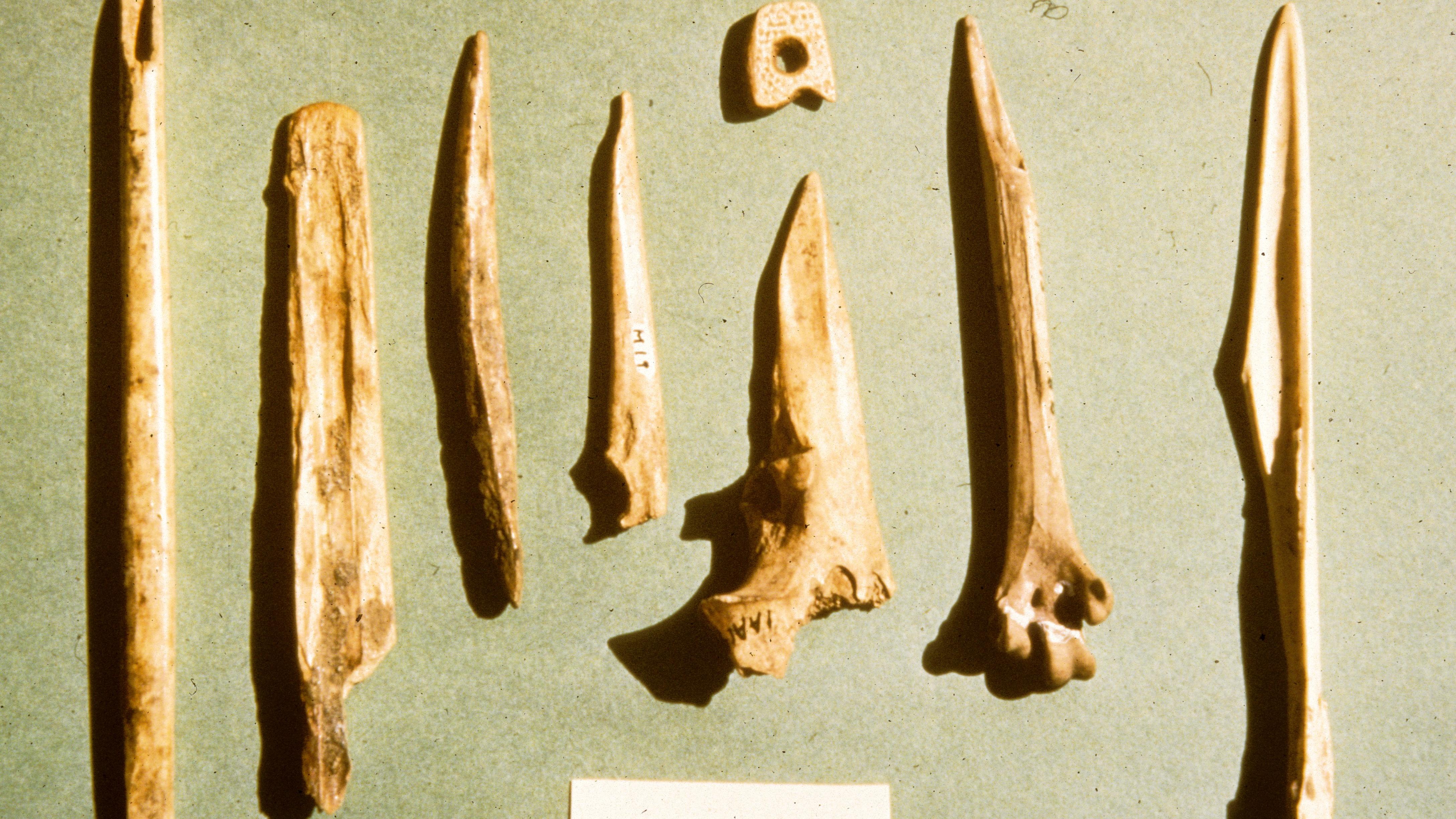 bone awls and needles