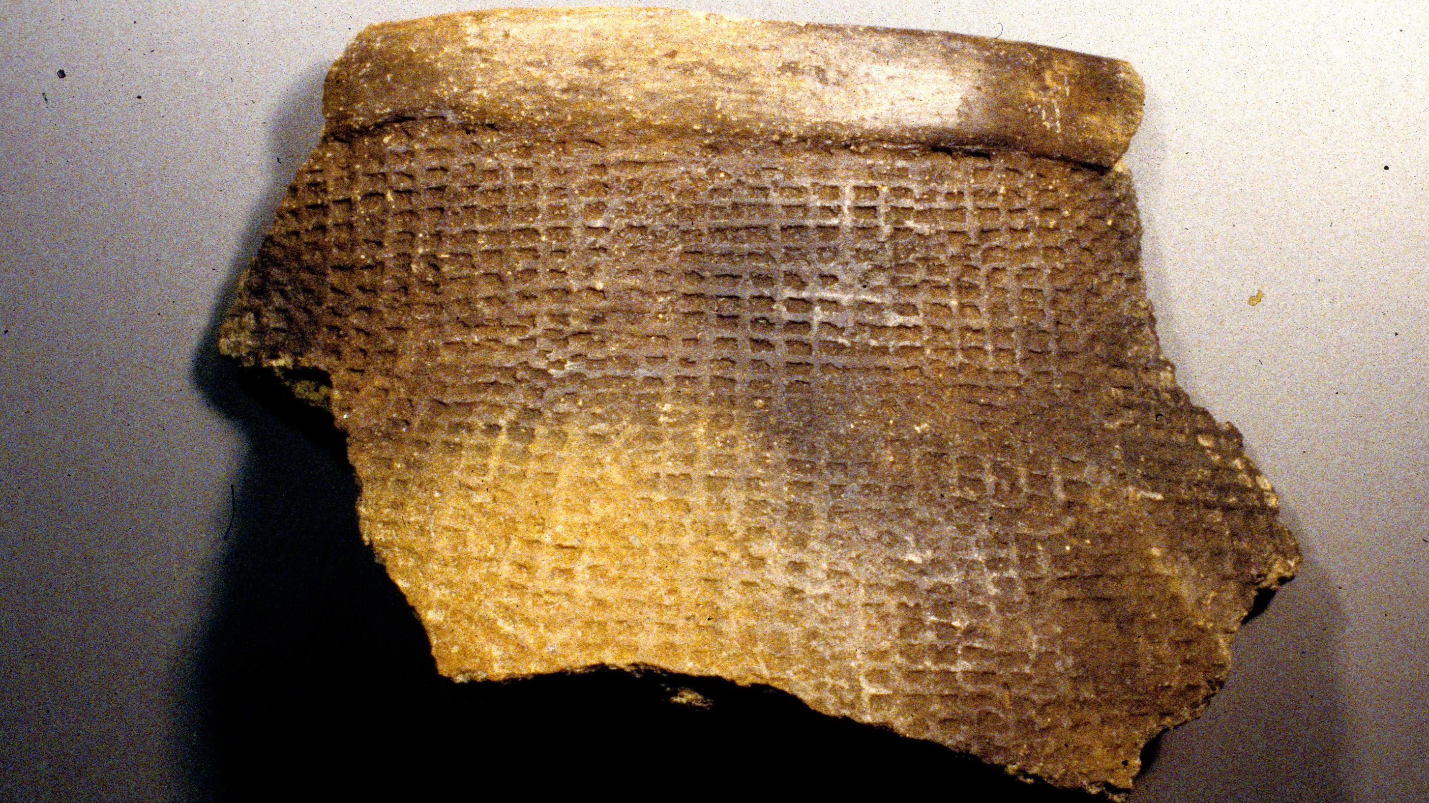 Pottery sherd