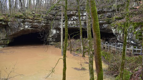 Flood waters rise close to the boardwalk at the entrance of the cave