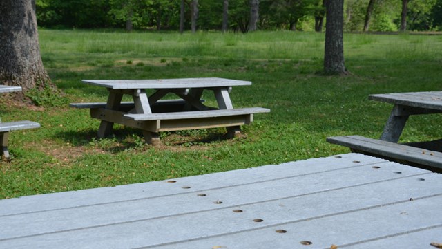 Picnic tables it in a grassy field