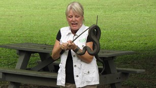 Yarbrough's Educational Reptiles