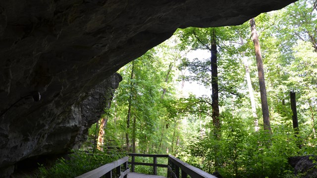 A view looking out of Russell Cave at boardwalk.