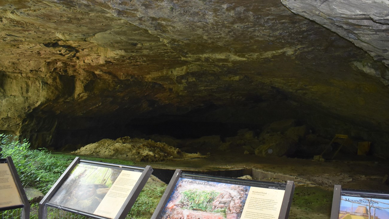 Looking into the cave shelter