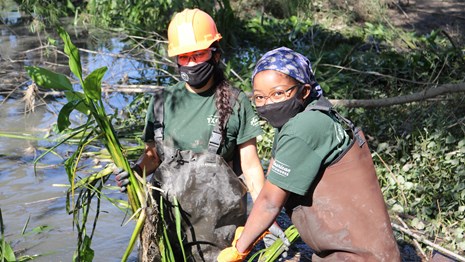 Two young women transplant native plants in swamp while standing in hip-high water.