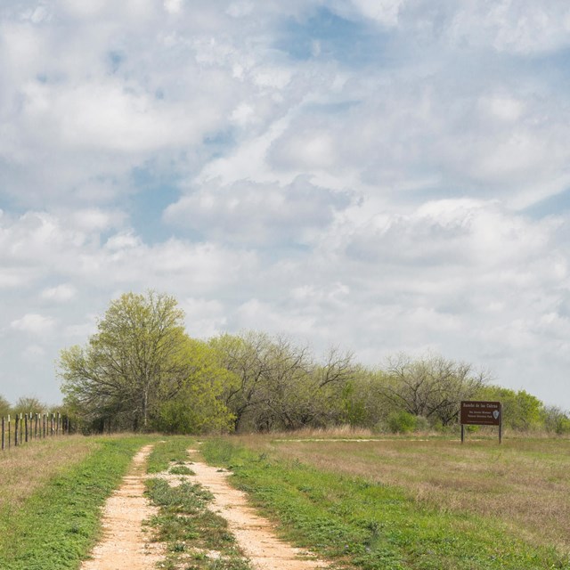 A dirt road leading through a field.