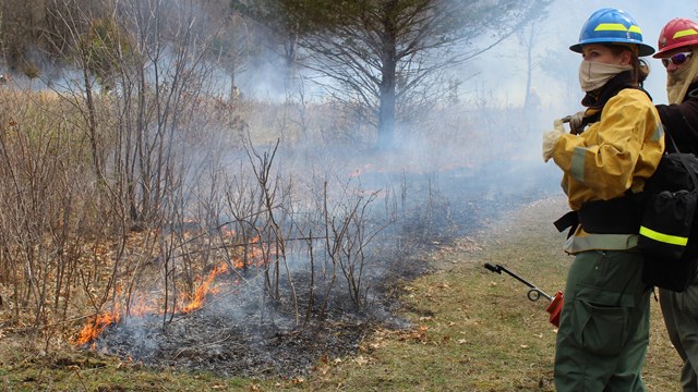 Link to the wildland fire program