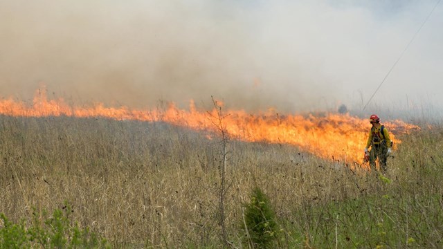 A firefighter with a drip torch ignites a prairie with white smoke rising above the flames.