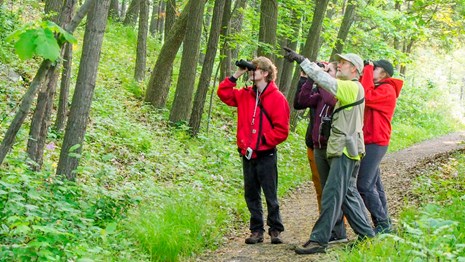 A small group of people look through binoculars at birds.
