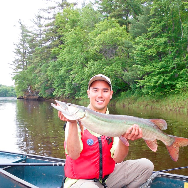 A man in a boat holds a large fish.
