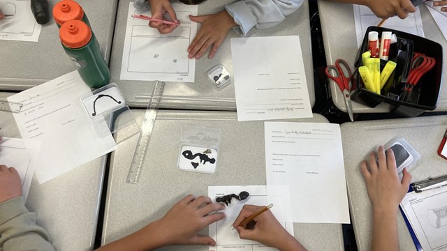 students examining artifacts