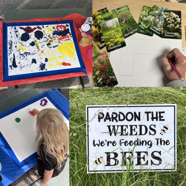 collage of pictures showing student activities