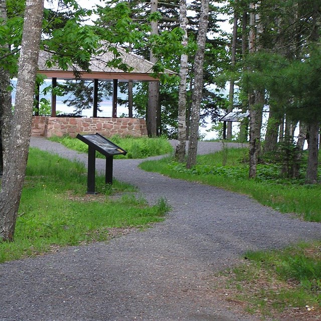 Interpretive path through the woods