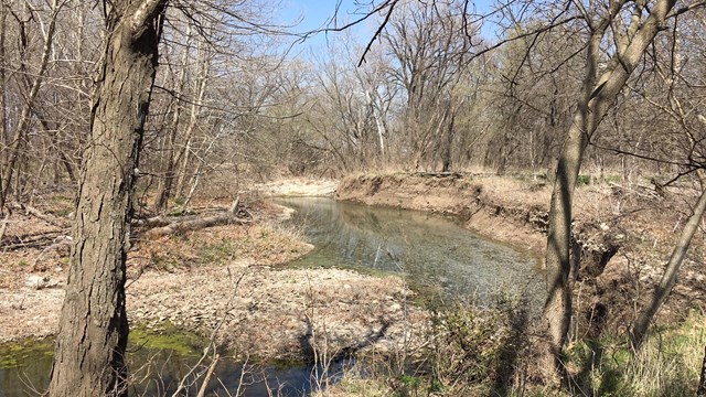 A creek runs through a rocky  area.