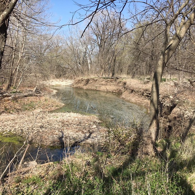 A creek runs through a rocky  area.