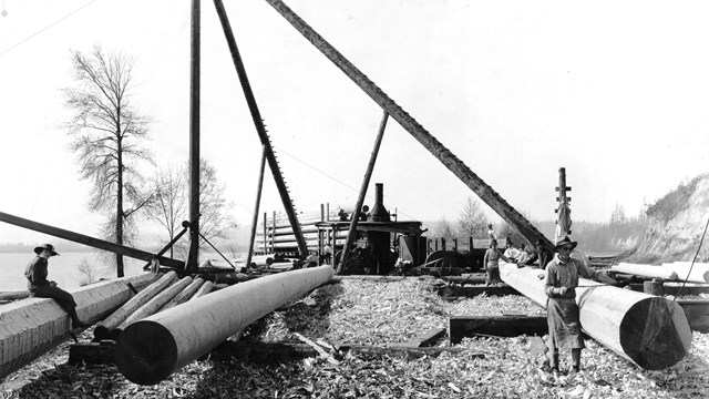 Huge logs, pile of wood chips, man holding a long saw, machinery in the background