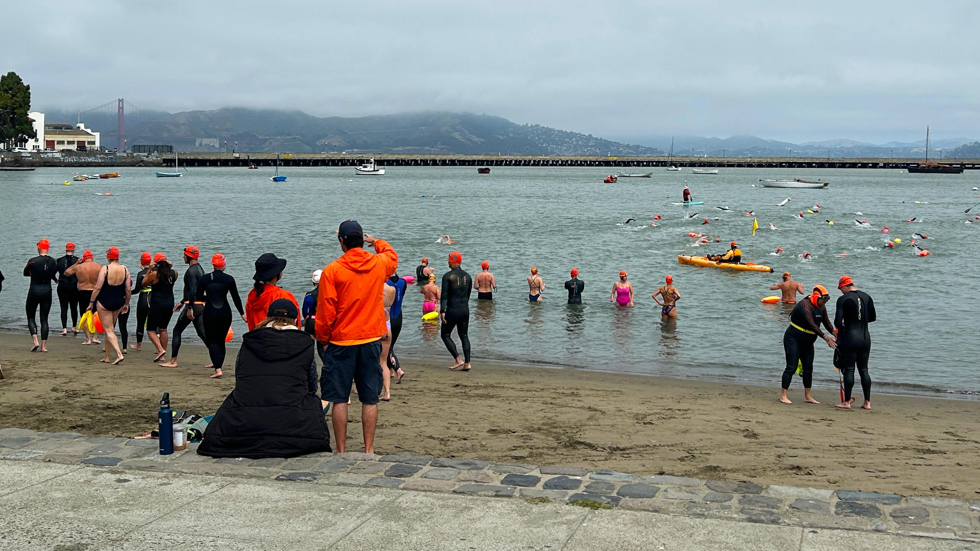 a large number of swimmers in the Aquatic Park Cove partake in a swim event.