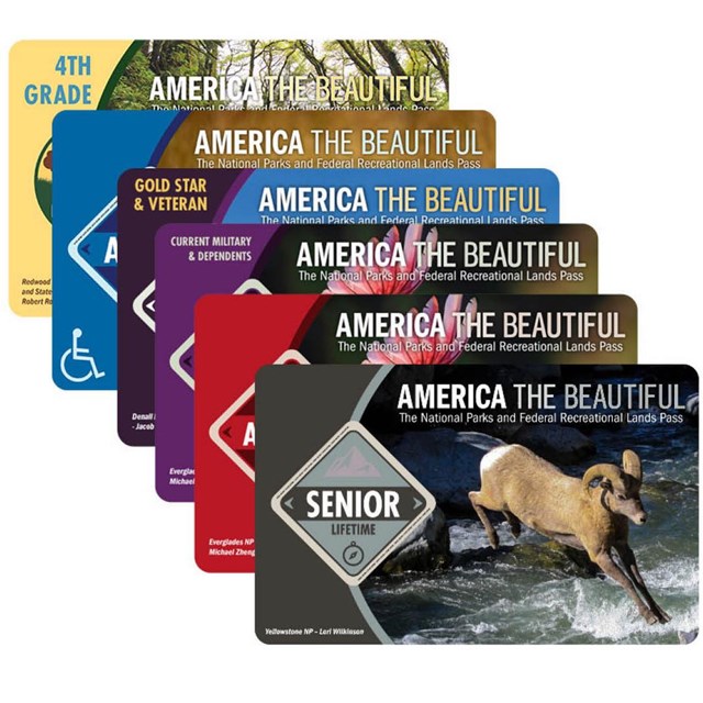 a stack of interagency passes, with each pass somewhat visible beneath the pass above it