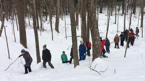 Snowshoeing, snow sculpture and more!