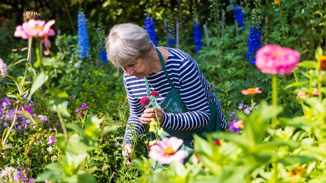  person standing in flower garden