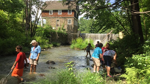 Students stand in stream to examine ecosystem