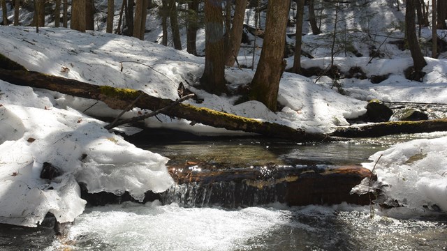 stream in winter