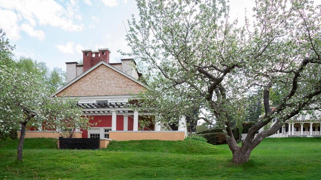 historic studio with apple tree