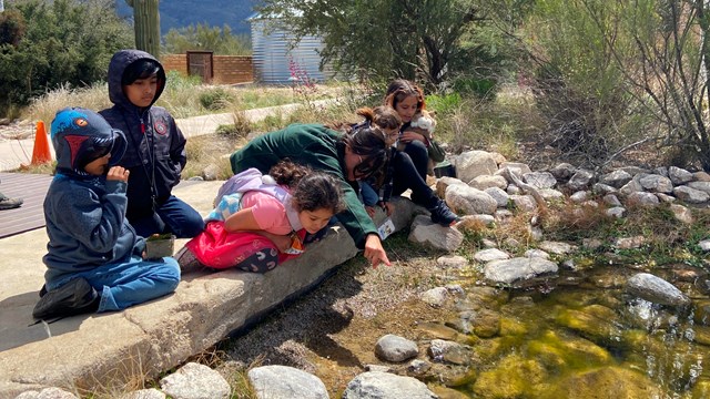 children and pointing ranger at the edge of a shallow stream environment