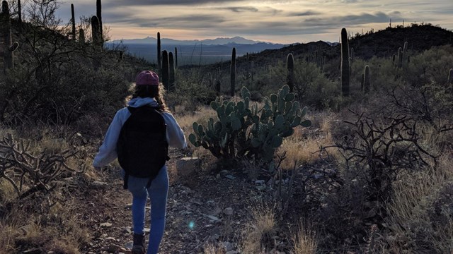 person hiking in desert