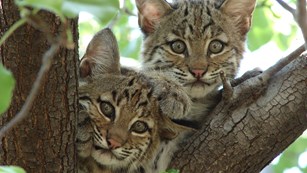 Information on the Park