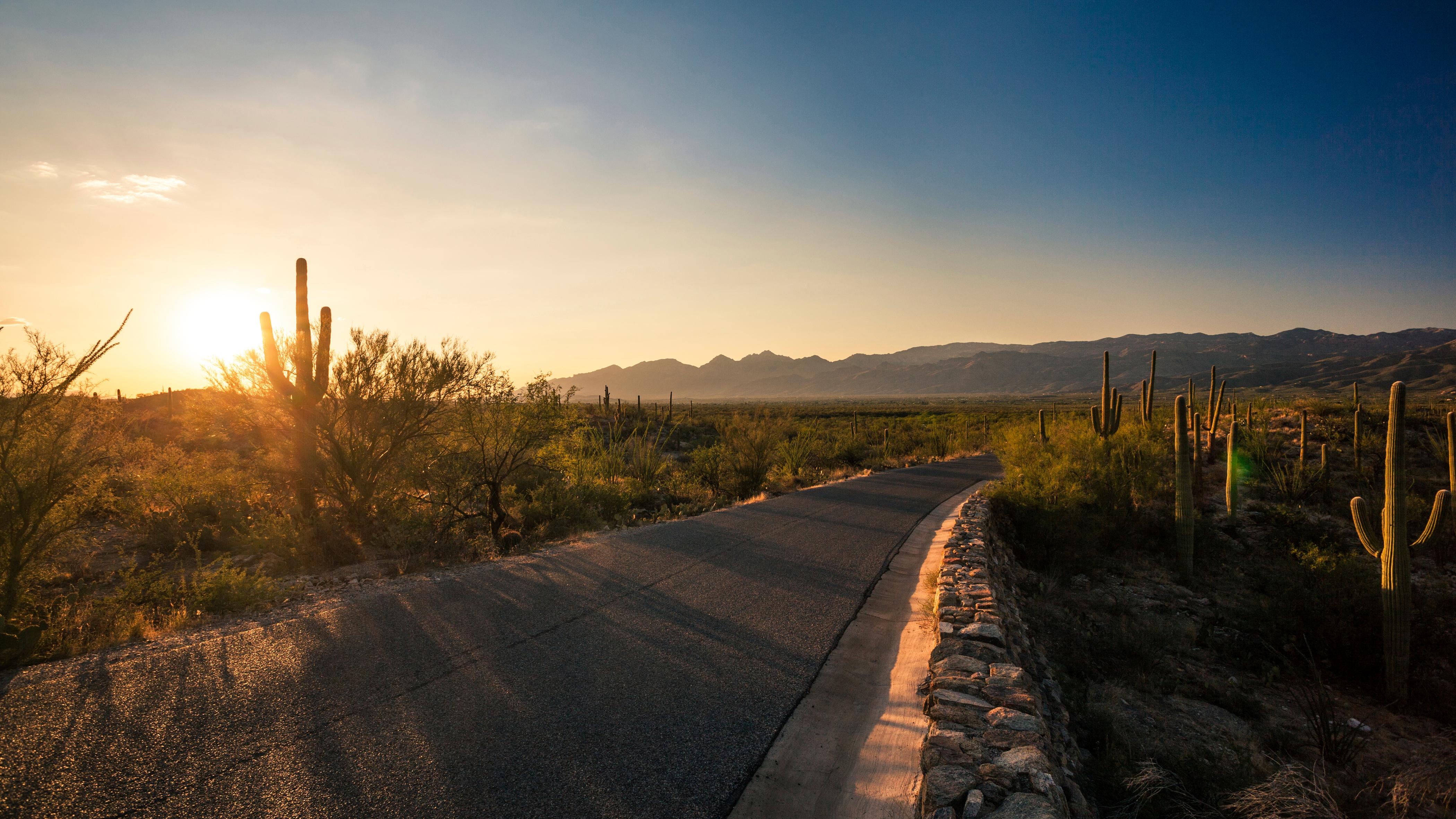 Image of a road leading into the desert under a setting sun. There are mountains in the distance.