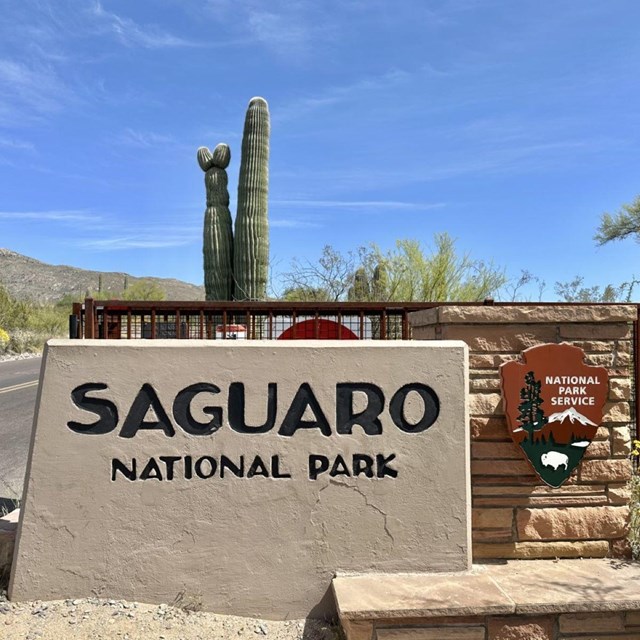 Saguaro National Park Map