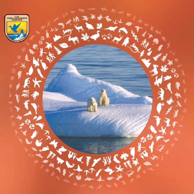US Fish & Wildlife Service