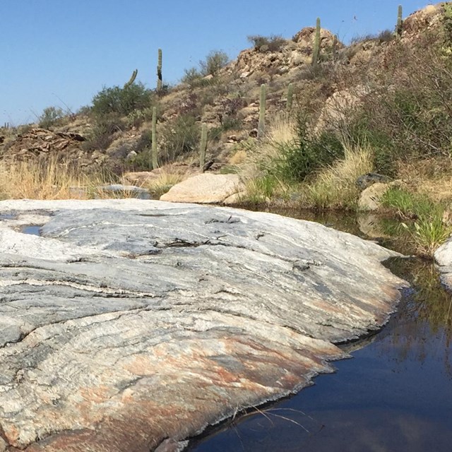 Unique bedrock formations in a desert stream with a tinaja