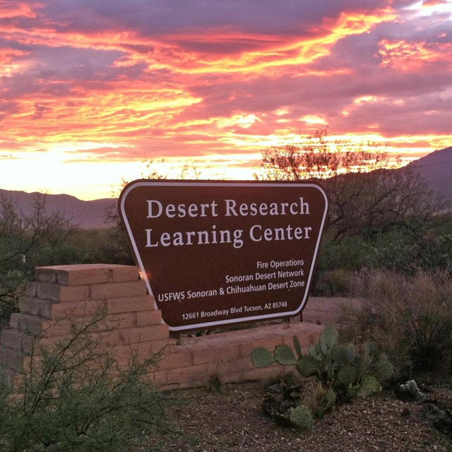 Sonoran Desert Inventory & Monitoring Network