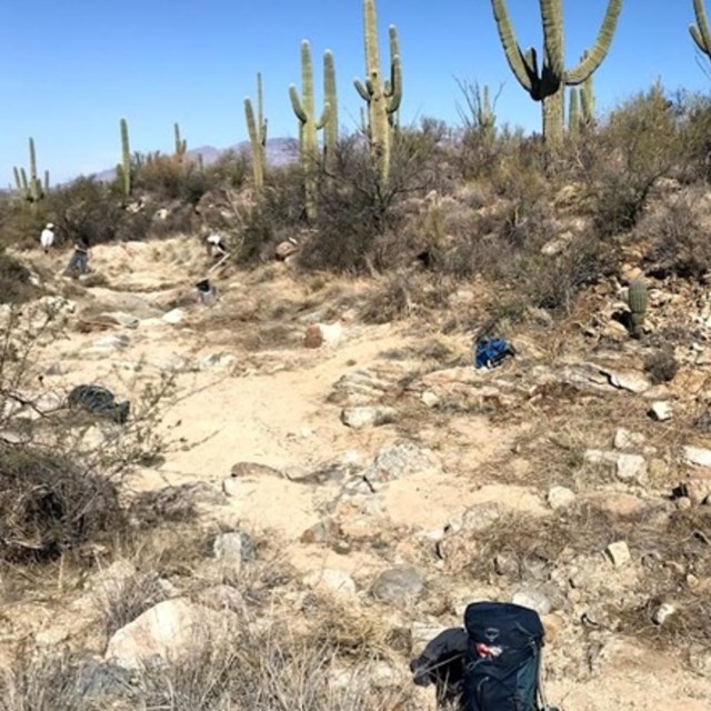 Site of a volunteer fountain grass pull event. Desert stream with backpacks strewn around/