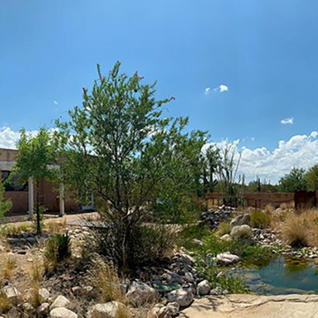 panoramic photo including brick building, trees, and small pond