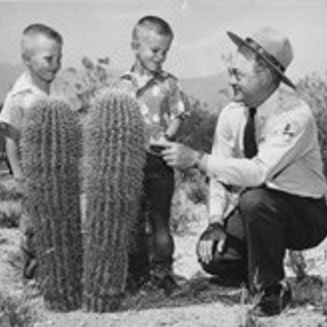 Park ranger talking to two little boys about saguaros