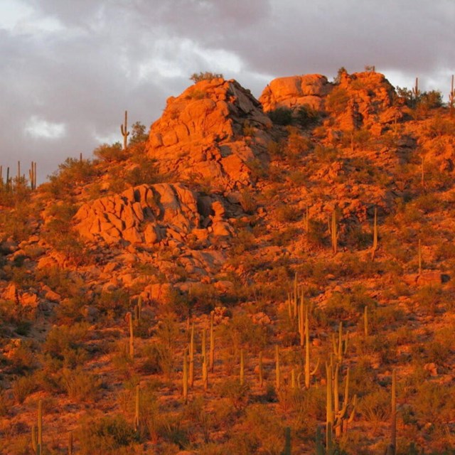 rocky tucson mountains